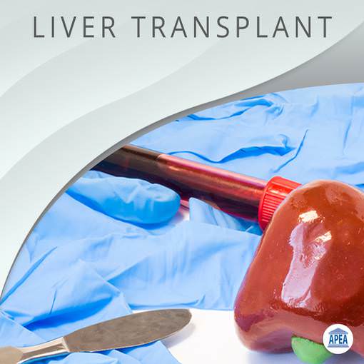 Liver Transplant Pharmacology What the Primary Care Nurse Practitioner